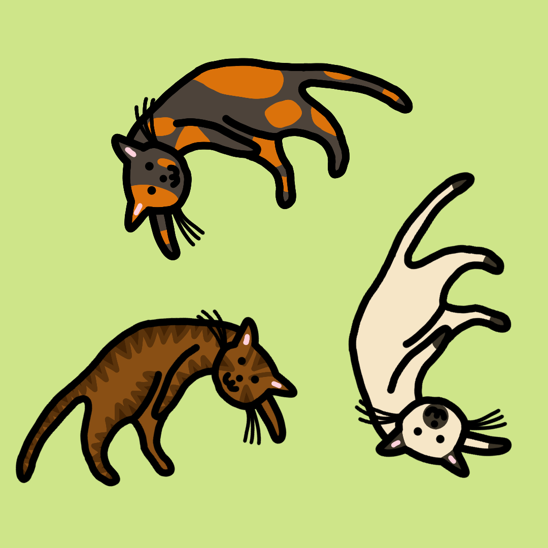 Simple MS Paint type doodles of 3 cats on a green background; a brown tabby, siamese, and tortoiseshell.